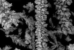 Copper powder under SEM