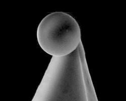 AFM Colloidal Probes with submicron sphere attached to the tip