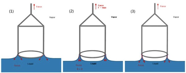 Schematic of tension measurement using Du Nuoy Ring method