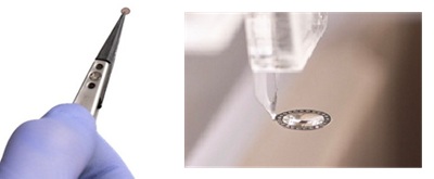 VitroTEM Graphene on Copper Disk and Loop Assisted Transfer (LAT)