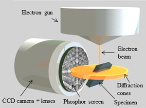Schematic of a typical EBSD analysis setup.