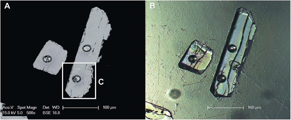 Laser ablation on zircon grain. (A) BSE image of two zircon grains showing pits ablated using the same operating conditions. Note the structures formed within two of the ablation pits. The features appear to be related to the presence of microfractures within the zircon grains, which are only visible under transmitted light (B). Source: Evans et.al., J. Anal. At. Spectrom., 2015, 30, 1636